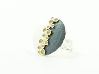 Flexring 