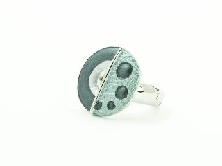 Flexring 