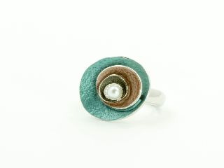 Flexring 