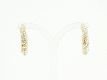 Creole "Stones" gold