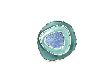 Flexring "Flat" blau