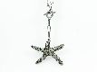 Kette "Seastar" gun