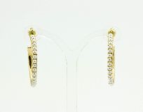 Creole gold Pearls