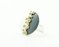 Flexring Earth
